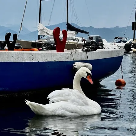Urlaubs-oase Mit Traumhaftem Seeblick * Torri Del Benaco